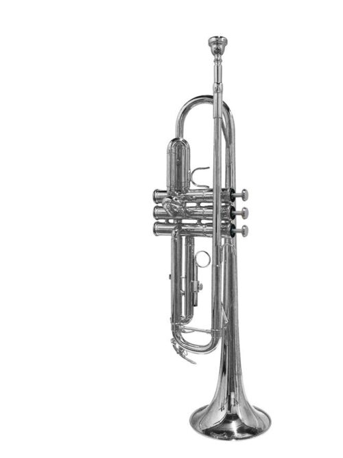 Stewart Ellis SE-1800-S Tromba in Sib