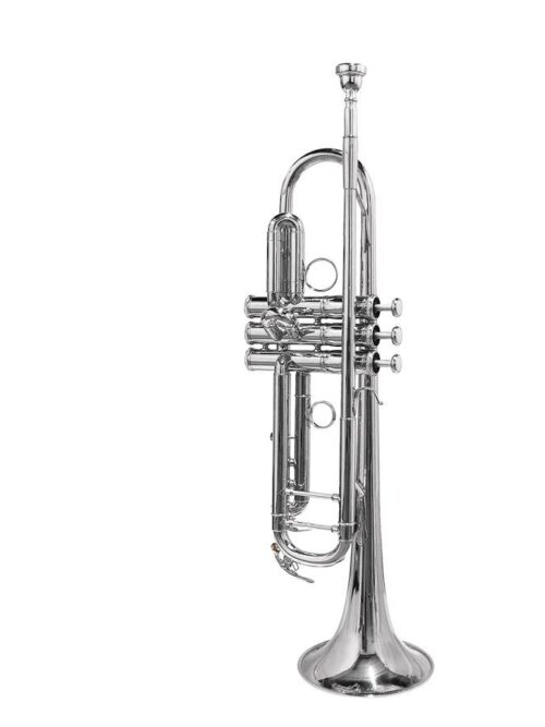 Stewart Ellis SE-2400-S Tromba in Sib