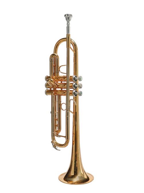 Stewart Ellis SE-2500-PRO Tromba in Sib