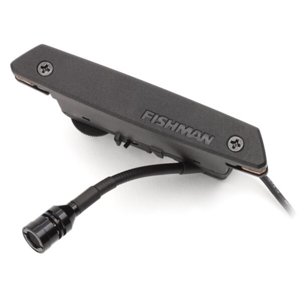 FISHMAN Rare Earth Soundhole Mic Blend Pickup