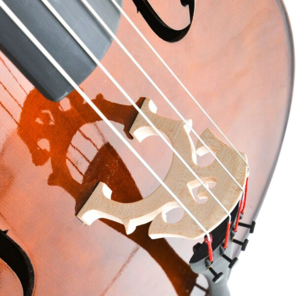 Domus ALLIEVO 1 Set Cello 4/4
