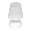 ALGAM LIGHTING L-30 Lampada da Tavolo Luminosa Decorativa