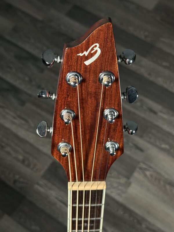 Breedlove Atlas Stage D25/Sre