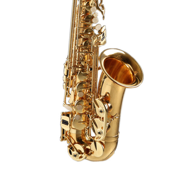 CIGALINI Sax Contralto Studio