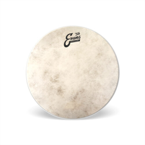 EVANS TT18C7 CALFTONE SABBIATA 18" - NATURALE