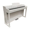 Echord DPX-100 Digital Piano White