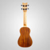 GOLDWOOD GW-MS-US-NS Montagna Ukulele Soprano