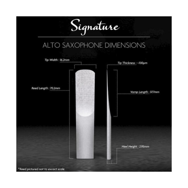 Legere Signature Ancia 2 Sax Alto