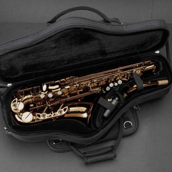 RAMPONE & CAZZANI Performance Sax Alto