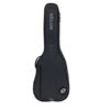 Ritter RGD2-C/ANT Borsa Chitarra Classica 4/4