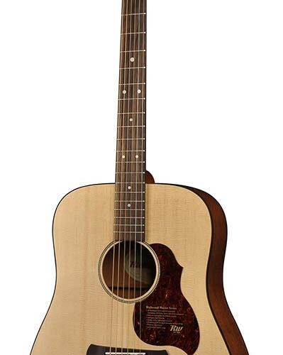 D-20-E Chitarra acustica dreadnought elettrificata