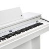 Kurzweil CUP E1 White