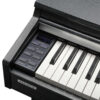 Kurzweil CUP M1 black