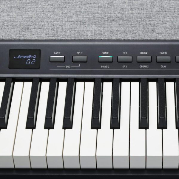 Kurzweil KaP1 Black