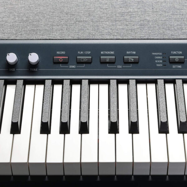 Kurzweil KaP1 Blue