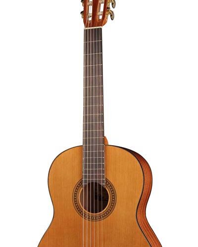 Salvador Cortez CC-10-BB Chitarra classica 1/2