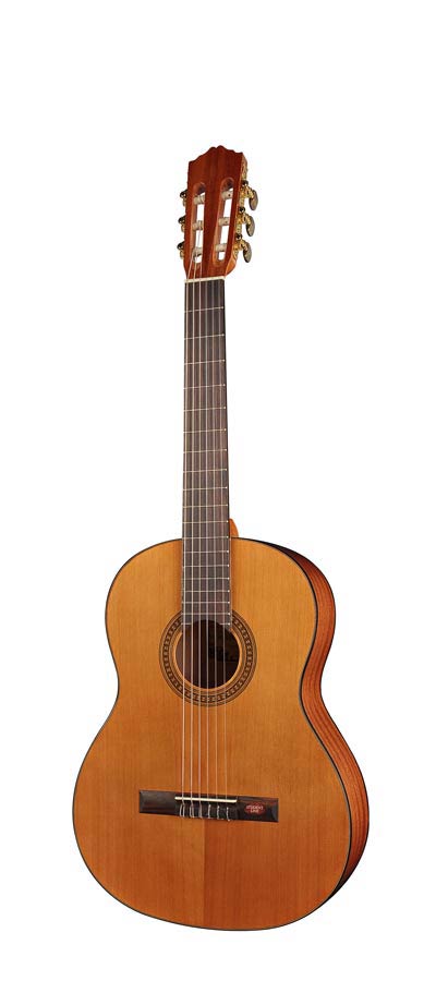 Salvador Cortez CC-10-BB Chitarra classica 1/2