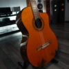 TAKAMINE GC5CE Natural