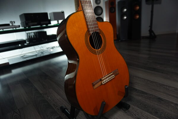 TAKAMINE GC5CE Natural