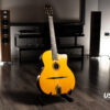 Altamira M10 Gypsy Guitar