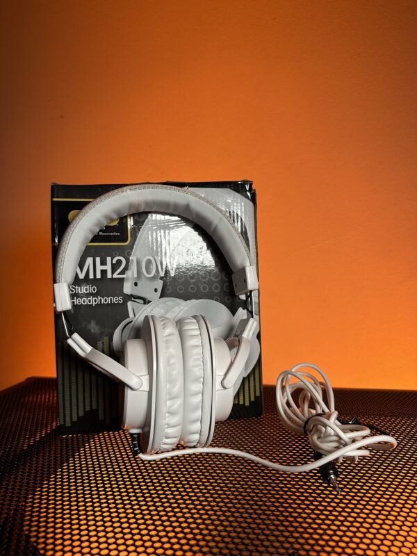 CAD Audio MH210W