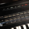 Roland D-20