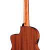 Salvador Cortez CC-22CE Chitarra classica 4/4 elettrificata