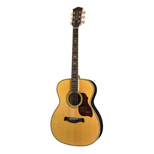 Richwood A-70-VA Chitarra acustica auditorium